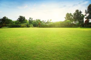 the current property market