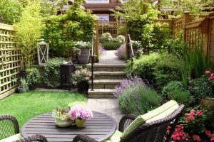 Garden ideas